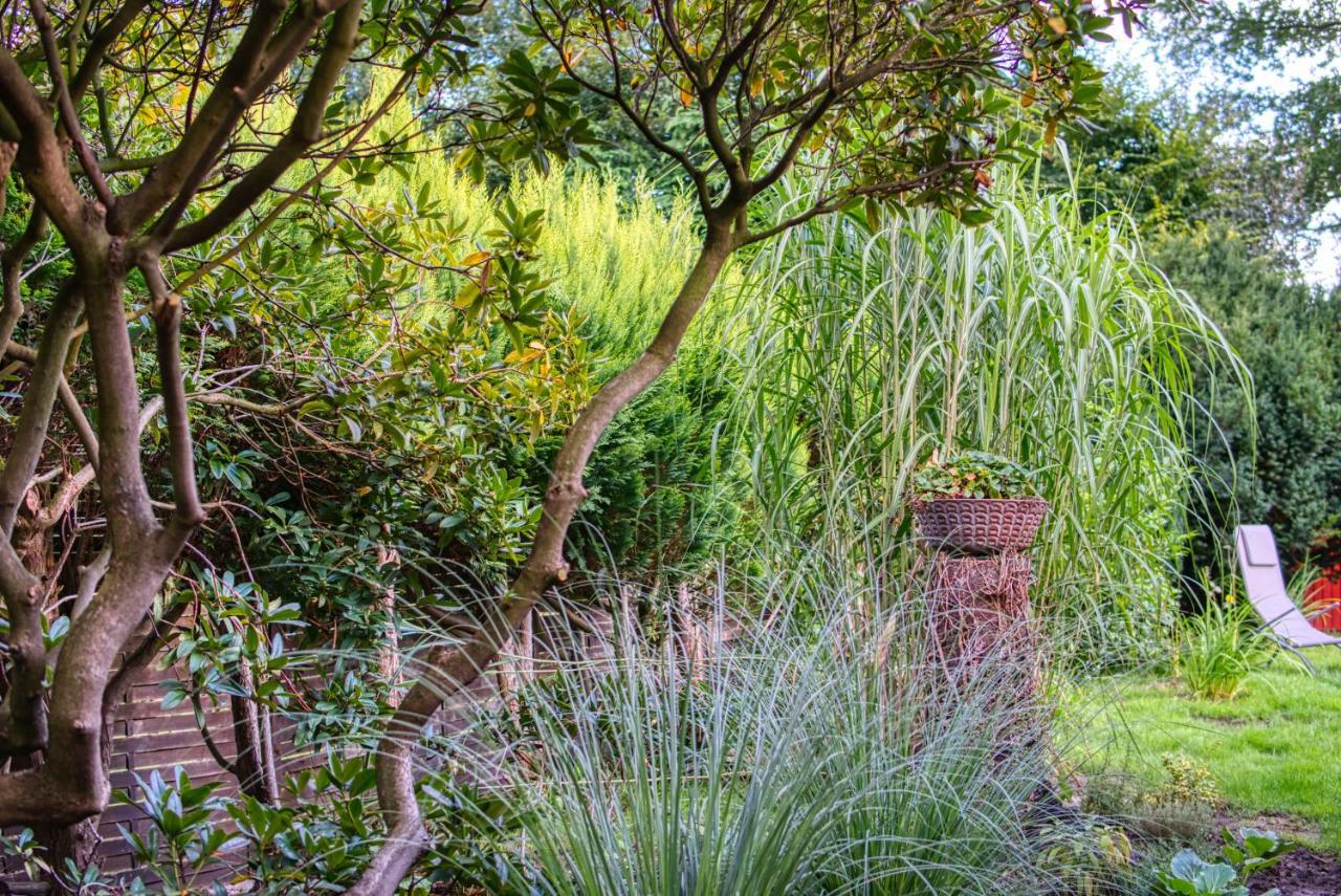 Schwanennest Am Haddorfer See * Top Ausstattung Wettringen  Bagian luar foto